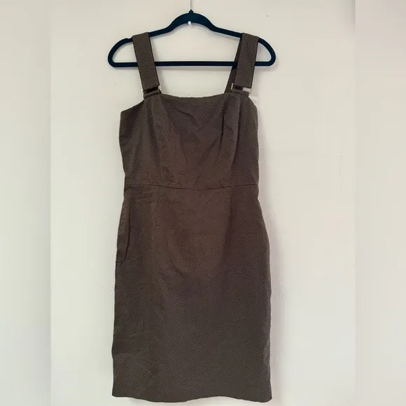 Antonio Melani Brown‎ Textured Dress, Size 8