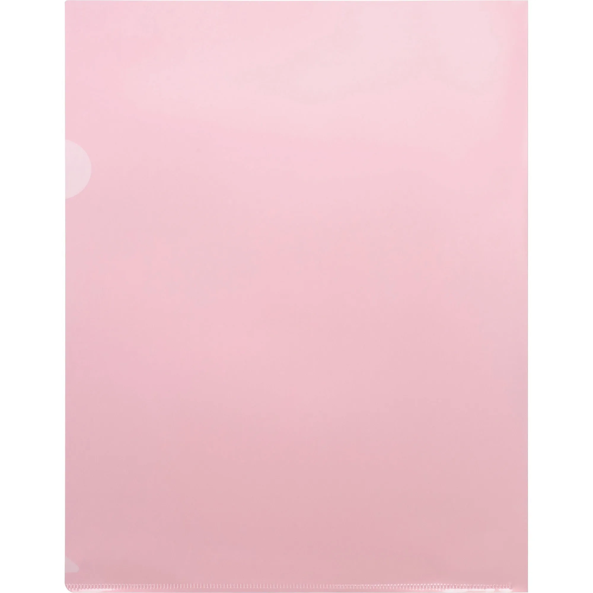 Business Source Letter File Sleeve