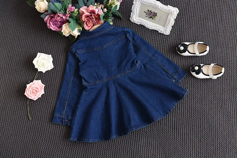 Long Sleeve Denim Dress