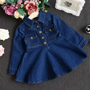 Long Sleeve Denim Dress