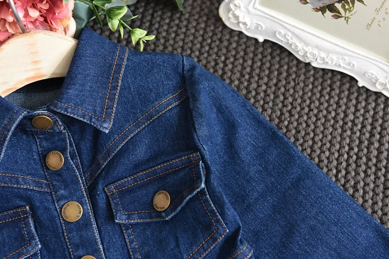 Long Sleeve Denim Dress