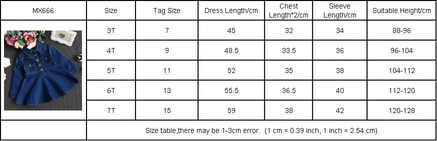 Long Sleeve Denim Dress