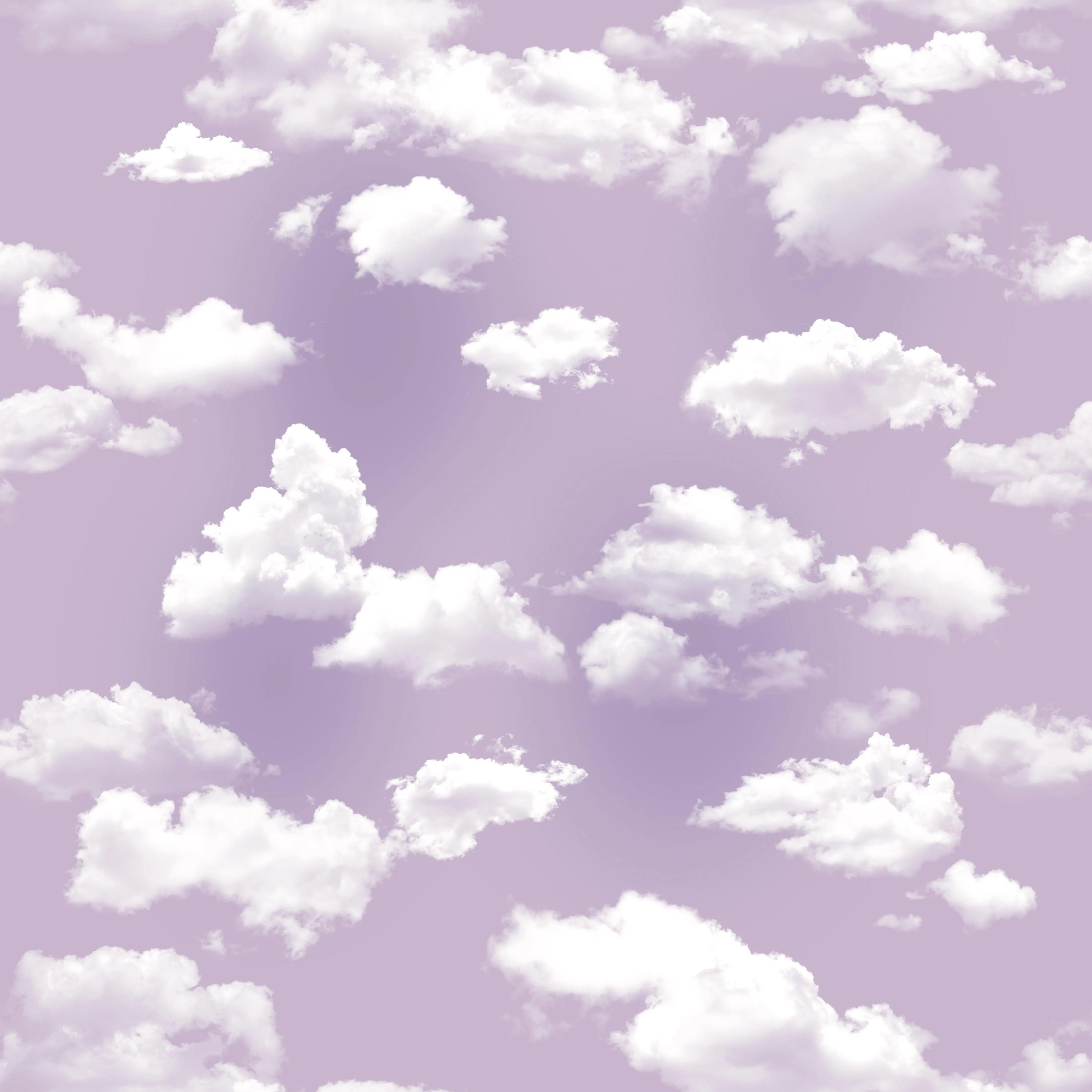 Sky Pants