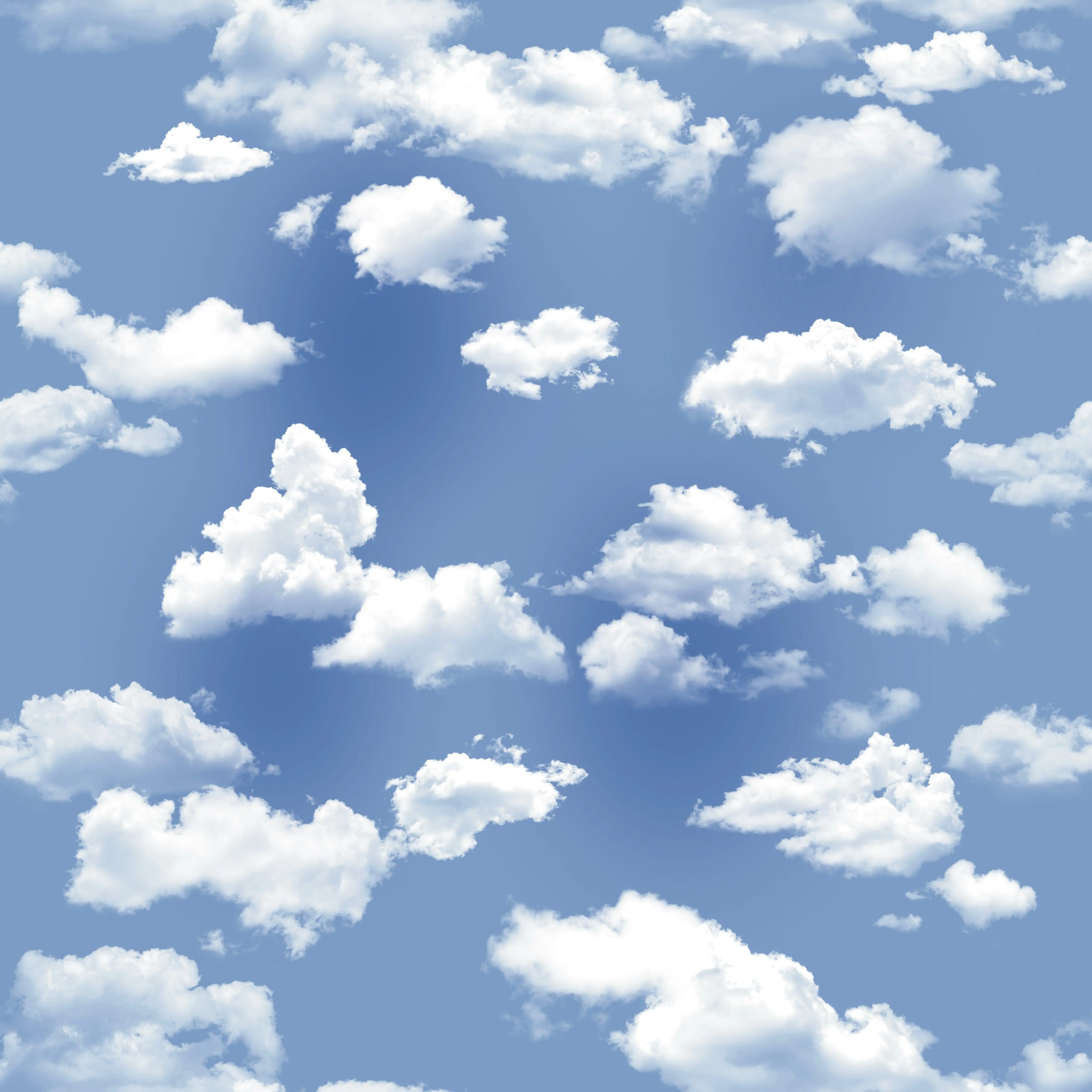 Sky Pants